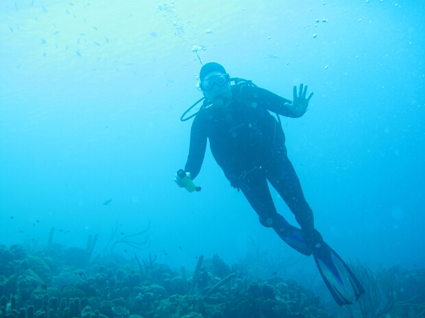 Bonaire 2012